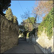 IMG_6463.JPG
