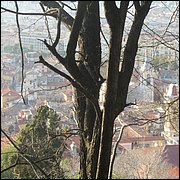 IMG_6473.JPG