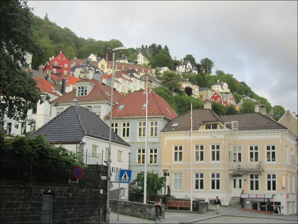 IMG_0403.JPG