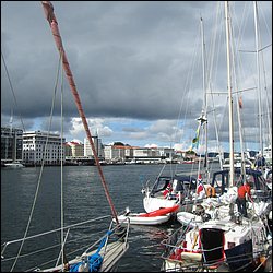 IMG_0302.JPG