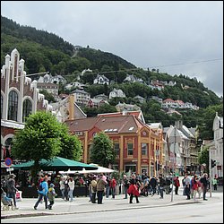 IMG_0315.JPG