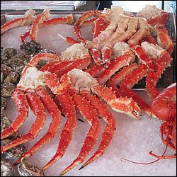 IMG_0320.JPG