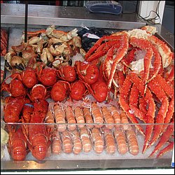 IMG_0321.JPG