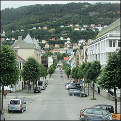 IMG_0362.JPG