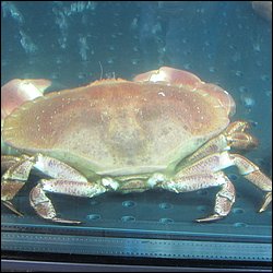 IMG_0368.JPG