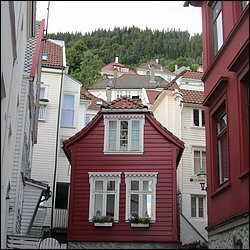 IMG_0401.JPG