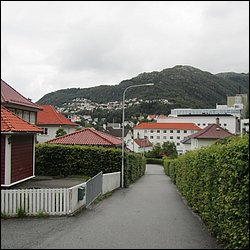 IMG_0647.JPG