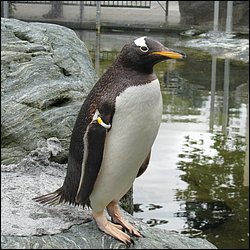 IMG_0670.JPG