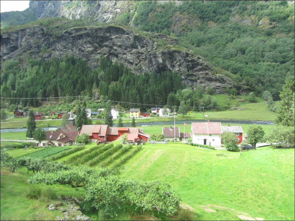 IMG_0440.JPG