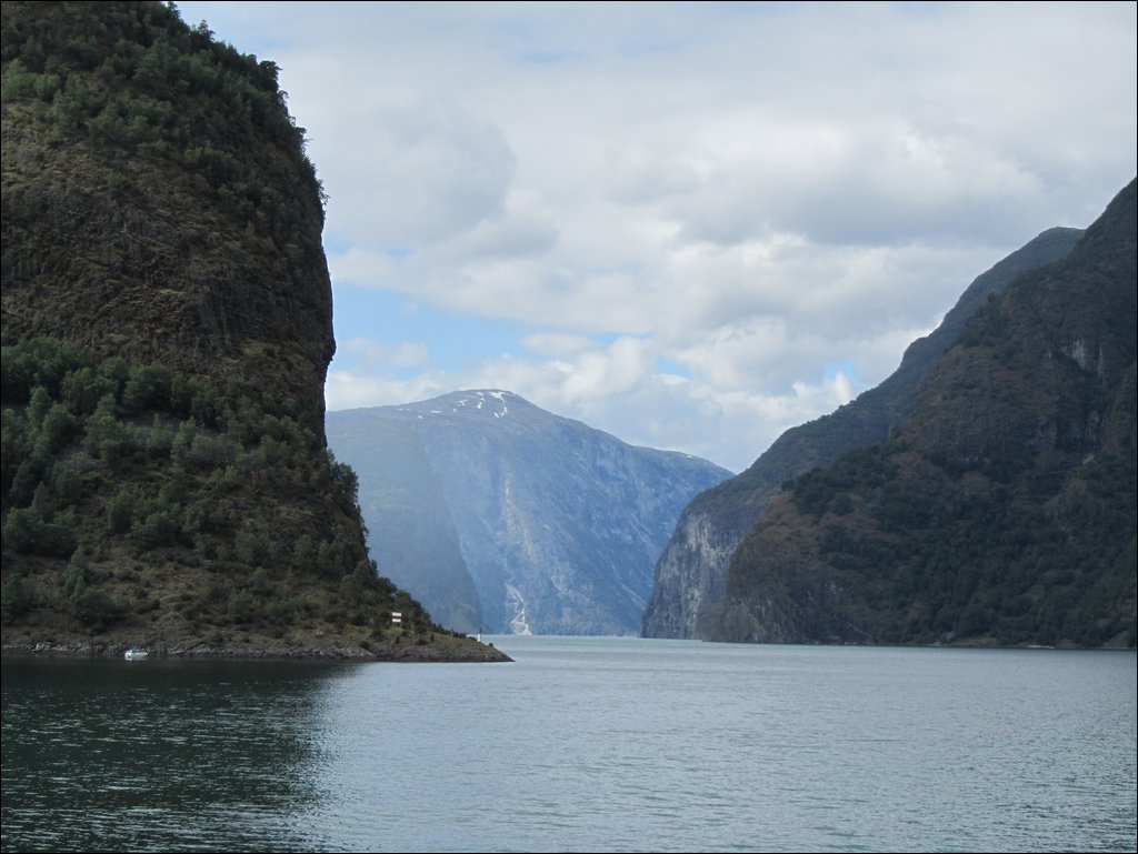 IMG_0516.JPG