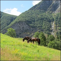 IMG_0463.JPG