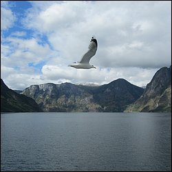 IMG_0504.JPG