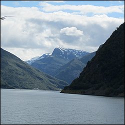 IMG_0515.JPG