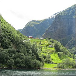 IMG_0529.JPG