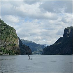IMG_0540.JPG
