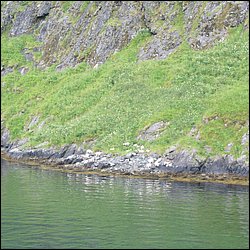 IMG_0544.JPG