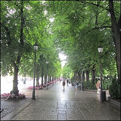 IMG_0156.JPG