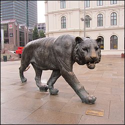 IMG_0185.JPG