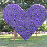 IMG_3757.JPG