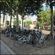 IMG_3763.JPG