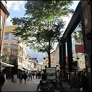 IMG_3790.JPG