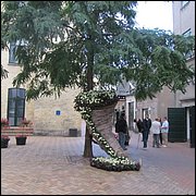 IMG_3808.JPG