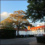 IMG_3827.JPG