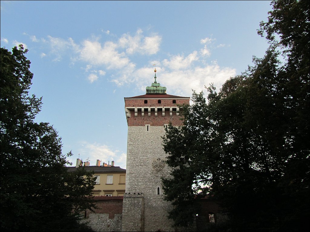 IMG_3370.JPG