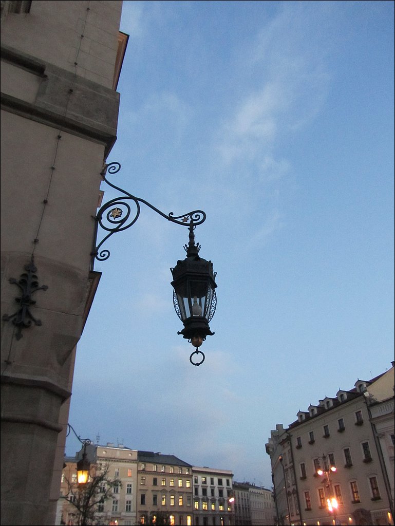IMG_3390.JPG