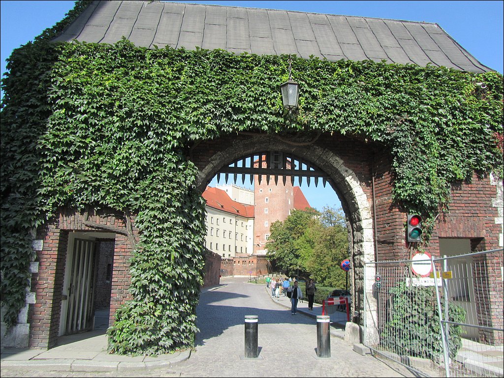 IMG_3407.JPG