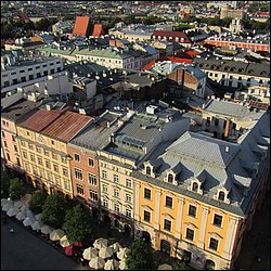 IMG_3351.JPG