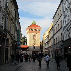 IMG_3355.JPG