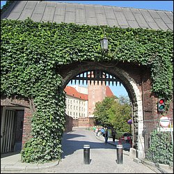 IMG_3407.JPG