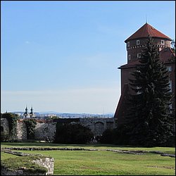 IMG_3447.JPG
