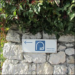 IMG_3448.JPG