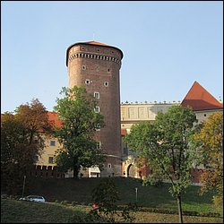 IMG_3460.JPG