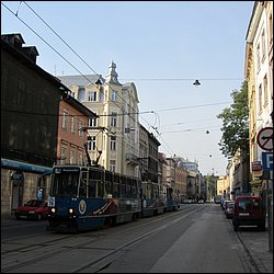 IMG_3461.JPG