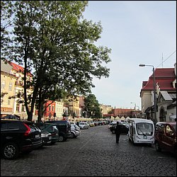 IMG_3479.JPG