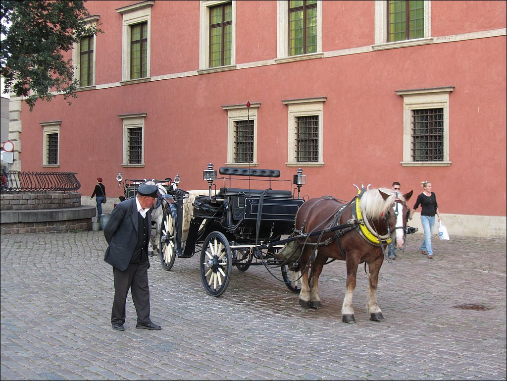 IMG_2955.JPG