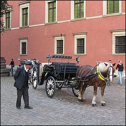 IMG_2955.JPG