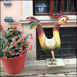 IMG_2974.JPG