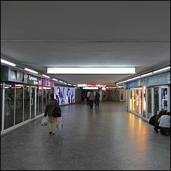 IMG_3009.JPG
