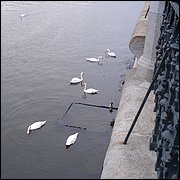 DSC05355.JPG