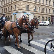 DSC05383.JPG