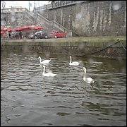 DSC05392.JPG