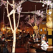 DSC05410.JPG