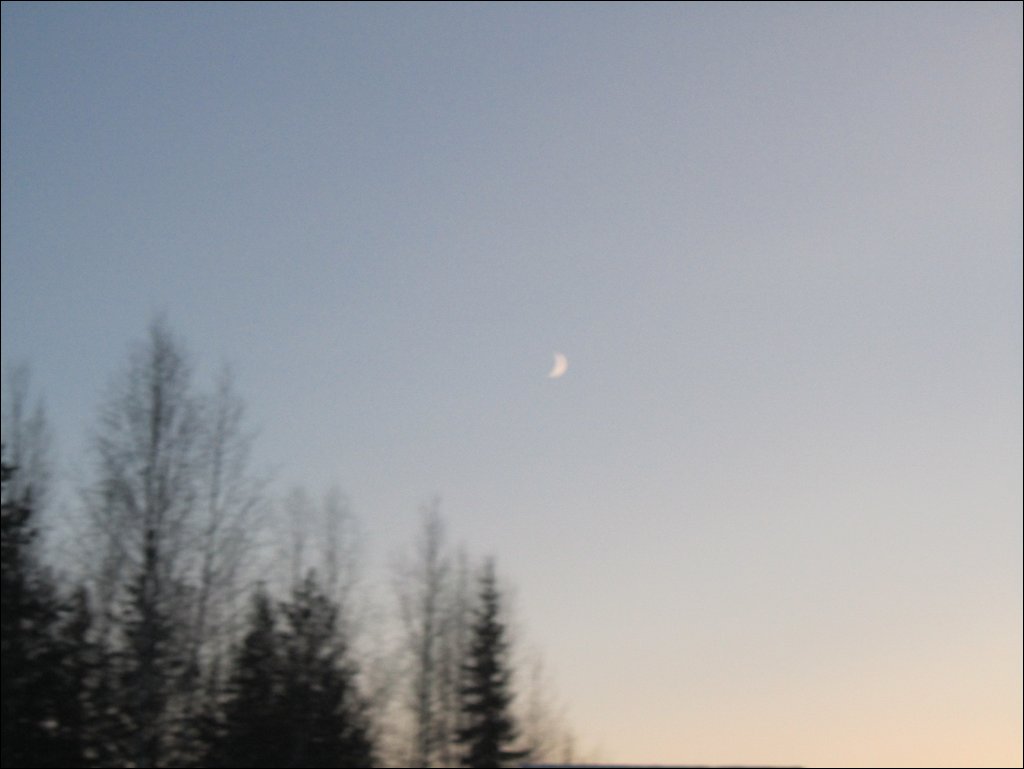 IMG_5370.JPG