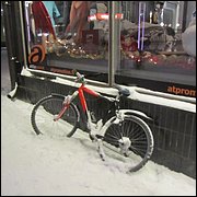 IMG_5275.JPG