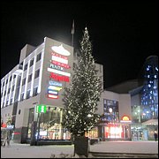 IMG_5281.JPG