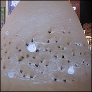 IMG_5284.JPG